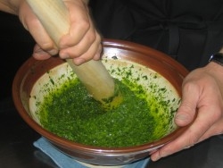 Rucola Pesto