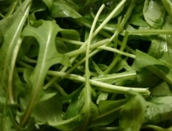 Foto: Rucola © Markus Hein/PIXELIO