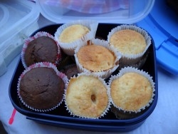 Schoko- und Vanille-Muffins