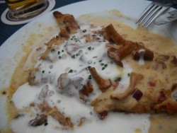 Schnitzel in Pfifferling-Rahmsauce