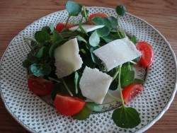 Brunnenkresse mit Parmesan und Tomaten