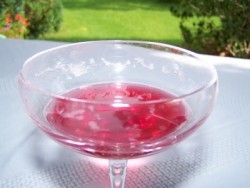 Foto: Champagner © Karin Schumann/PIXELIO