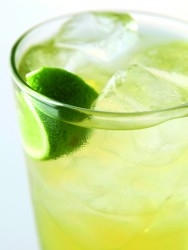 Tropic Capricorn (c) BOLS