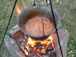 Foto: Gulasch © Romy1971/PIXELIO