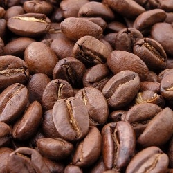 Kaffee Junkies picture
