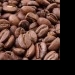 Kaffee Junkies