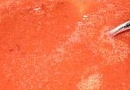 Pflaumen - Amaretto - Marmelade