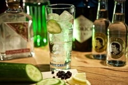 Gin-Tastings und Seminare im Delicious Berlin