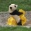 Nutellacrêpe