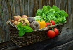 Lebensmittelverband Deutschland: Am 31. Juli ist Tag der Lebensmittelvielfalt