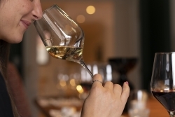 World of Wine Porto: Weinschule wurde WSET zertifiziert