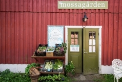 Skåne: Schwedens herbstliche Speisekammer stellt sich vor