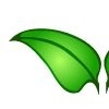 yerbabuena-shop