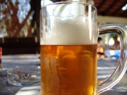 DLG testete Bier und Biermischgetränke