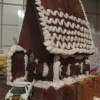 Pelusa