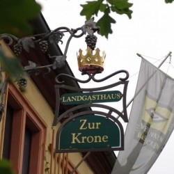 frankenkoch